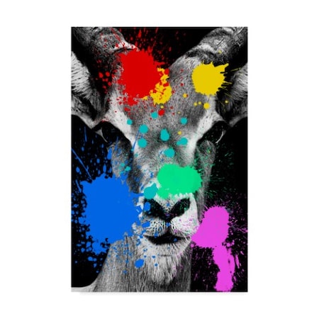 Philippe Hugonnard 'Antelope Reedbuck II' Canvas Art,30x47